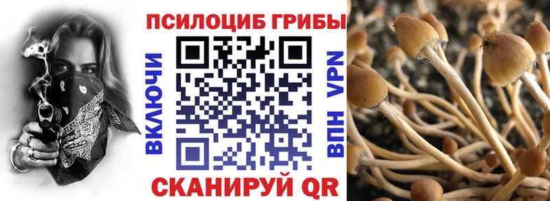 сколько стоит Хадыженск Псилоцибиновые грибы прущие грибы