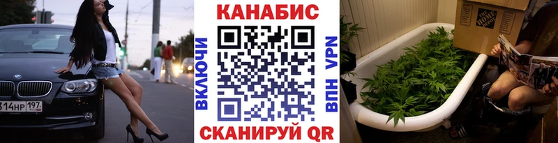 Бошки марихуана Amnesia  Хадыженск 